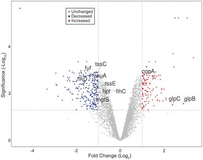 An O2-sensing diguanylate cyclase broadly affects the aerobic transcriptome in the phytopathogen Pectobacterium carotovorum